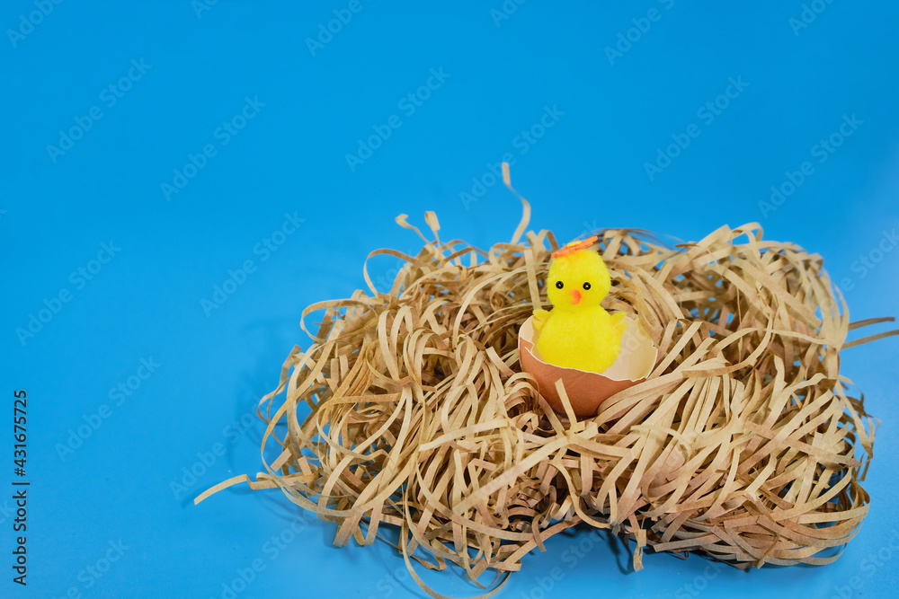Easter background. Happy chicken in a nest on a straw on a blue background. Horizontal festive background. The concept of Easter. A place to copy. Easter background. Happy chicken in a nest on a straw on a blue background. Horizontal festive background. The concept of Easter. A place to copy.