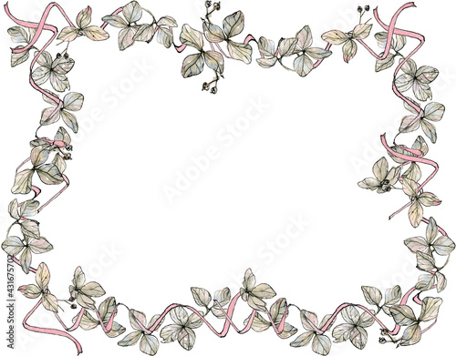 Frame of hydrangea petals with pink ribbon, watercolor illustration in sketch style. Romantic border with copyspace, isolated on white background. Delicate pastel, elegant invitation, vintage floral.