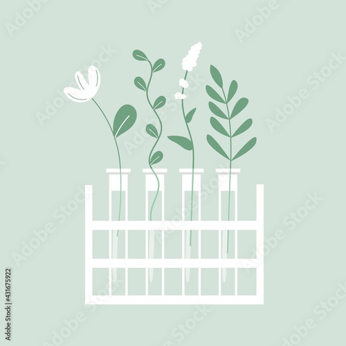 Green organic natural homeopathic pills in glass jars. Homeopathy treatment banner, herbal alternative medicine, essential natural oil, herb pharmacy, food supplement. flat vector