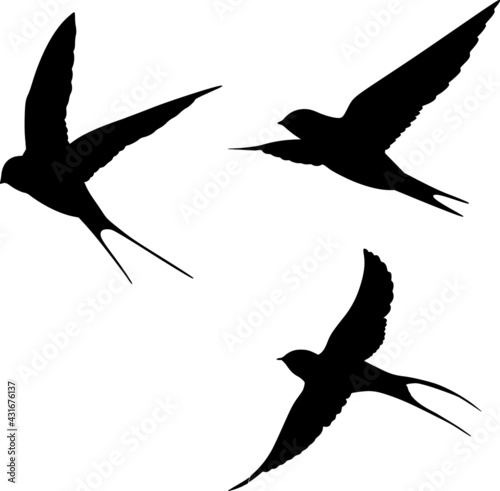 Swallow. Silhouette of swallows in flight. Vector graphics.