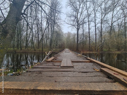 Wooden bridge in the thicket. Broken wooden bridge.