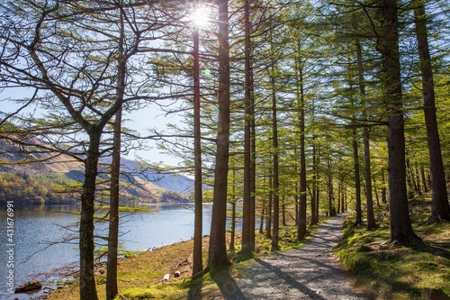 Woodland path on the western shore of Buttermere, English Lake District.