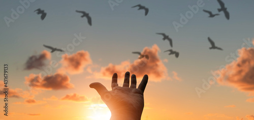 Hand touching Mountains sunset landscape