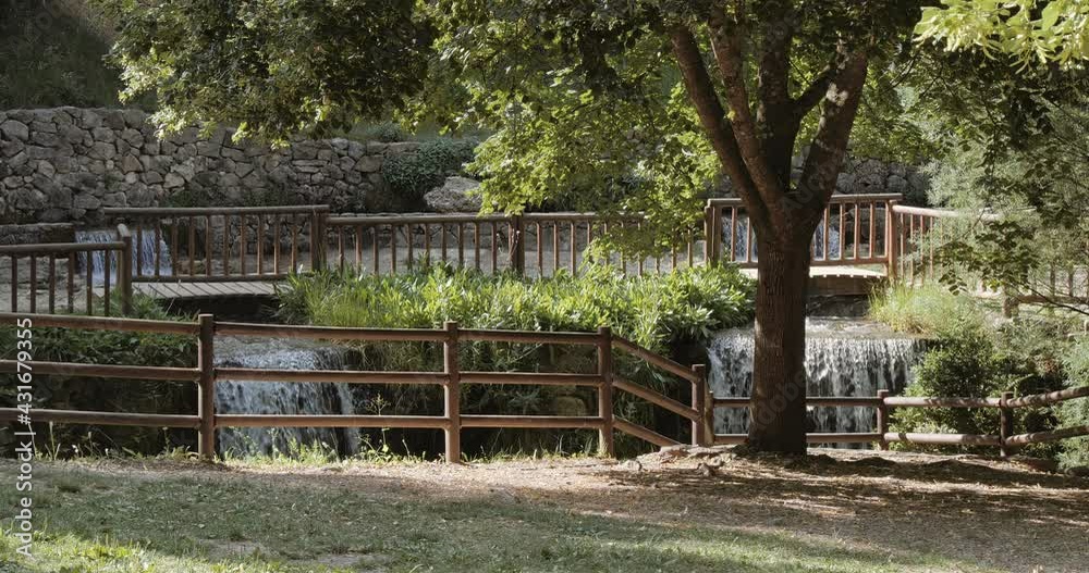 Scenic view of park zone with big tree and mountain river cascades on sunny day. Beautiful landscape with relax atmosphere Scenic view of park zone with big tree and mountain river cascades on sunny day. Beautiful landscape with relax atmosphere