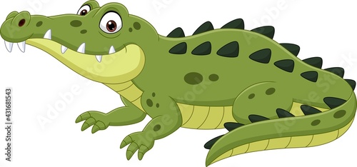 Cartoon crocodile isolated on white background