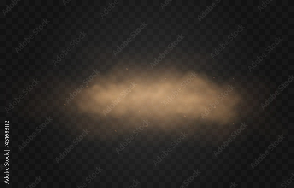 Vector sandy dust cloud. Clouds with dust particles. Sandstorm on an isolated transparent background. PNG.	