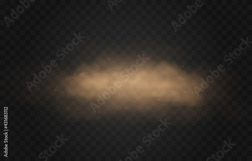 Vector sandy dust cloud. Clouds with dust particles. Sandstorm on an isolated transparent background. PNG.	