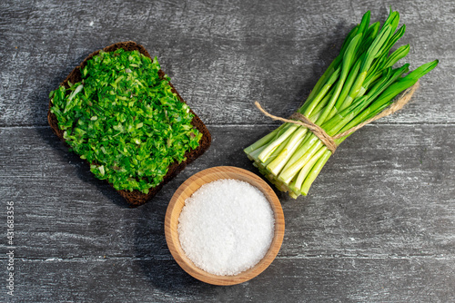 Quadro su tela Wild leek pesto on a slice of bread with olive oil and salt on a wooden table with bread