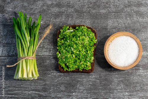 Quadro em tela Wild leek pesto on a slice of bread with olive oil and salt on a wooden table with bread
