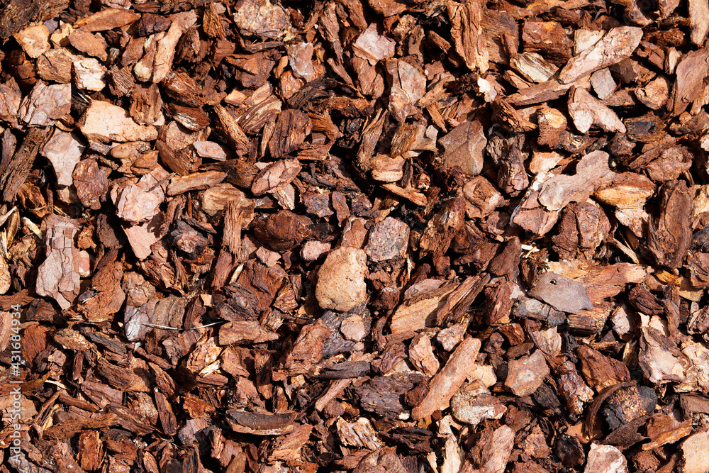 Pine bark for natural weed control in the garden. Brown bark mulch as a background. - obrazy, fototapety, plakaty 
