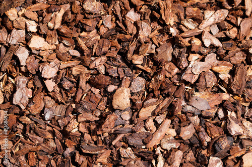 Pine bark for natural weed control in the garden. Brown bark mulch as a background. photo