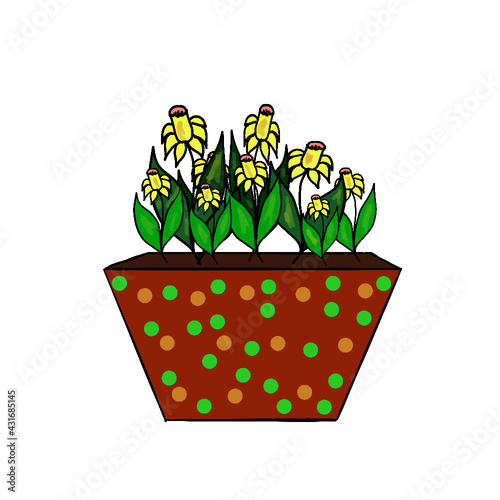 flowerpots, home flowerpots, potted flowers, flower pot, pot, flowers, house, leaves, botany