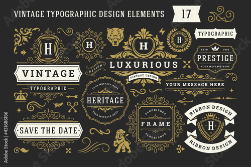 Vintage typographic decorative ornament design elements set vector illustration photo