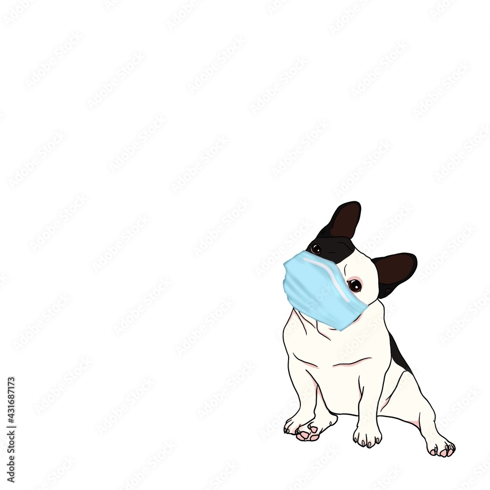 Hand drawn illustrations portrait of French Bulldog breed and face mask on white background design for wallpaper, posters, card, print, web design.