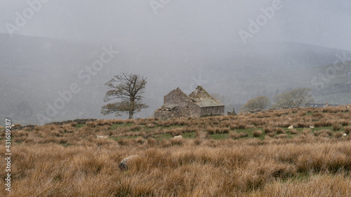 Dilapidated building in the North Pennine landscape near Garrigill, Cumbria during a shower of snow