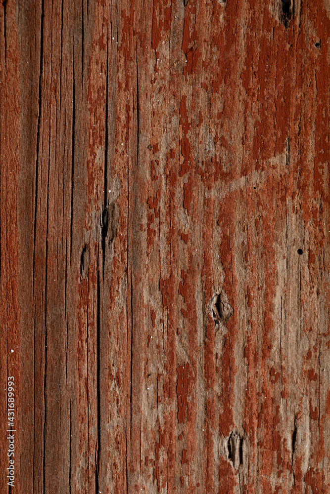 Close-up Details of Peeling Paint in a Weathered Door, Braga, Portugal.