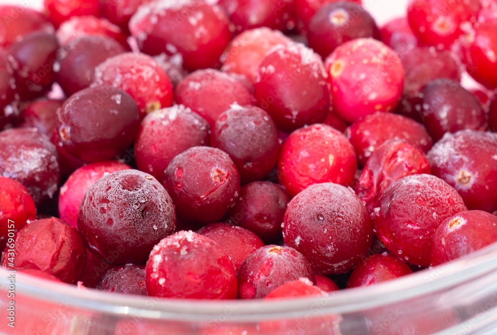 Frozen lingonberry berries close-up on a white background. Frozen lingonberry berries close-up on a white background.