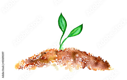 Small plant growing with leaves watercolor illustration white background. Gardening, making your vegetable garden. Seed. Eco environeemnt green label hantag.