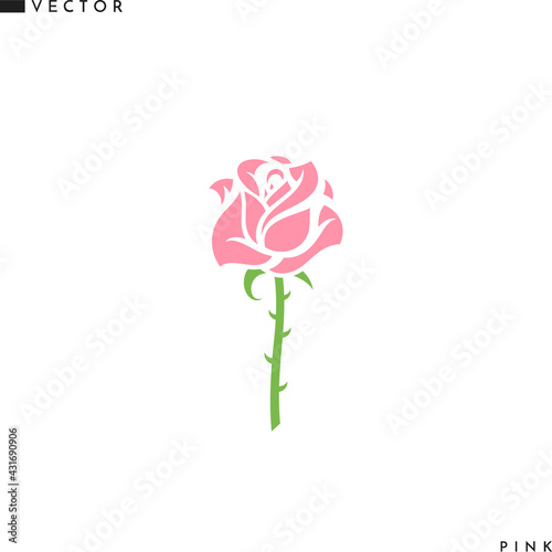 Pink rose