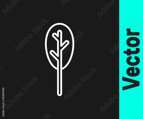 White line Spinach icon isolated on black background. Vector