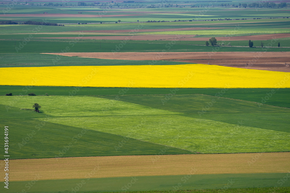 Fototapeta premium Aerial photo of a fertile cultivated field in bloom during spring season