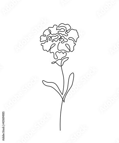 Carnation flower vector illustration in simple minimal continuous outline line style. Nature blossom art for floral botanical design. Isolated on white background