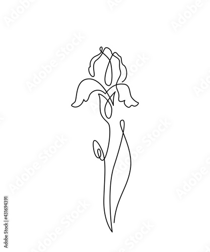 Iris flower vector illustration in simple minimal continuous outline line style. Nature blossom art for floral botanical design. Isolated on white background