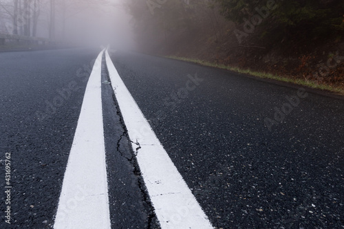 A lonely foggy asphalt road cutting through mystery forest photo