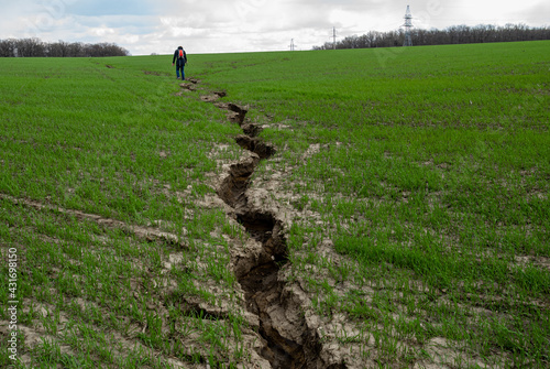 Rift on the green field, rural landscape with wheat field