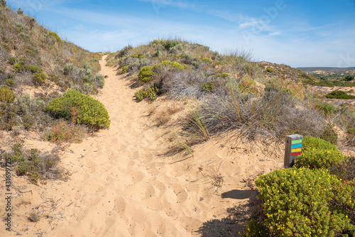 sunny hiking trail inmidst the dune landscape, Costa Vicentina Portugal