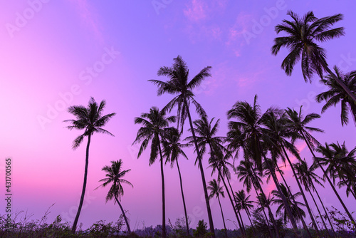 Summer season Sunset with coconut tree in twilight time at beach © kimtaro2008