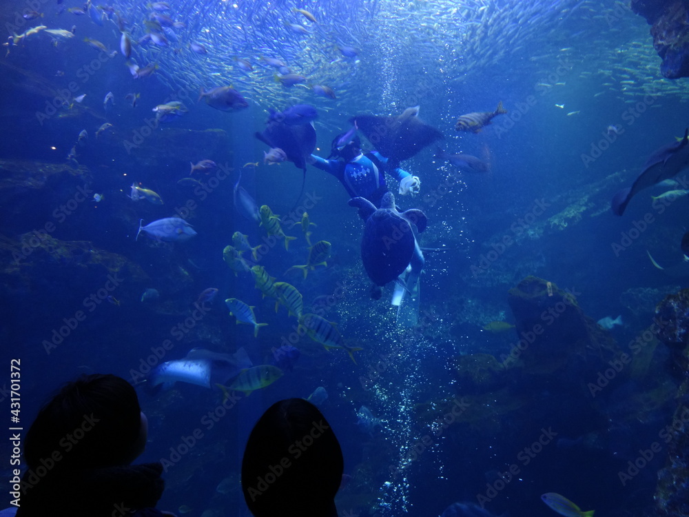 Fototapeta premium 水