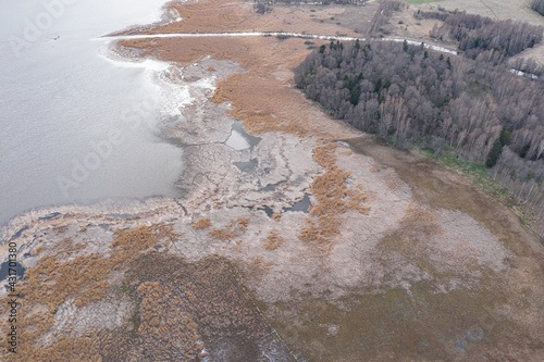 Coastline of the bay. Photo from a drone. Finland. Scandinavian nature in early spring. There is a lot of yellow cane on the shore.