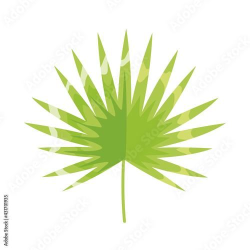 tropical leaf green