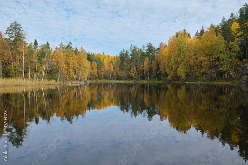 Russia, Republic of Karelia, natural attractions - Ladoga skerries on the lake, bright autumn forest.