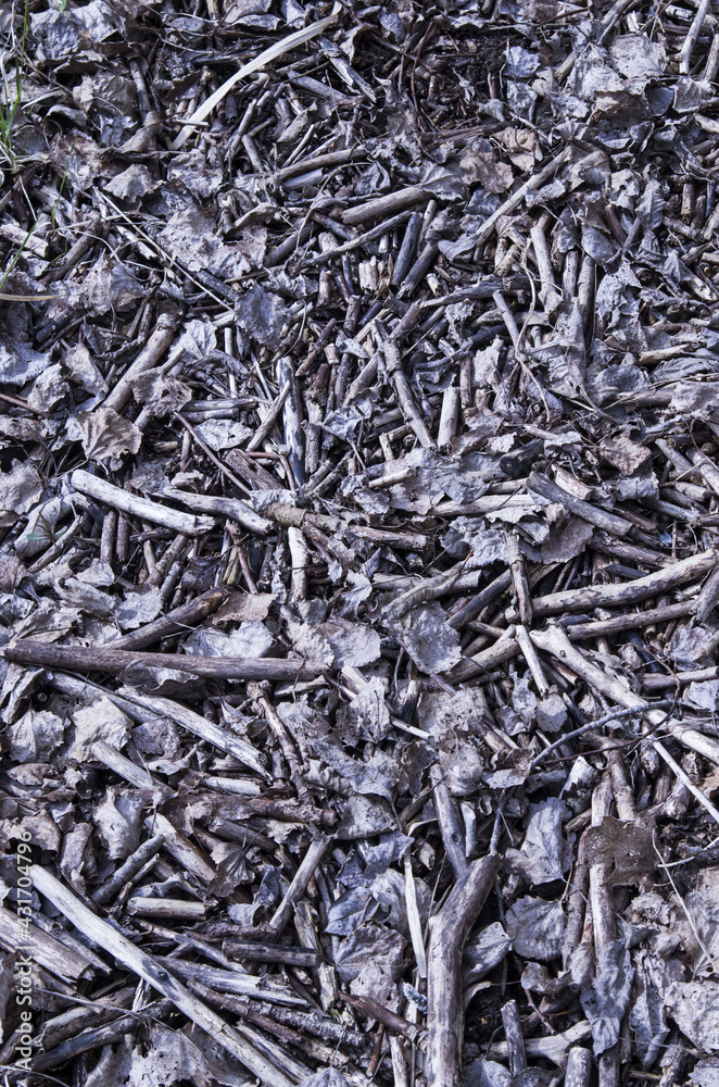 close up of paper