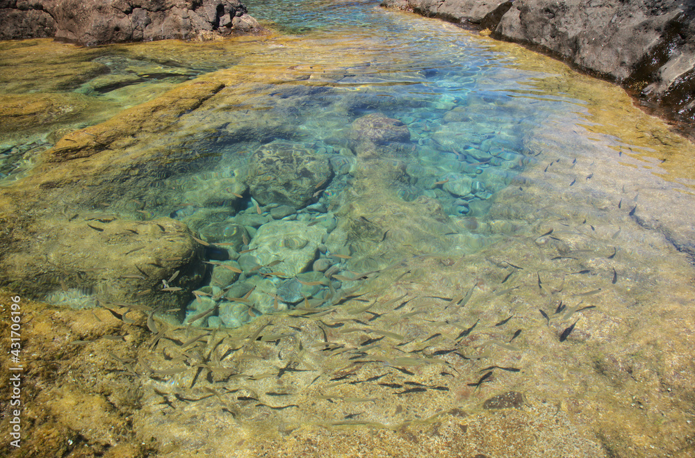 Gran Canaria, calm natural seawater pools in under the steep cliffs of the north coast, separated from the ocean by 
volcanic rock, Punta de Galdar area