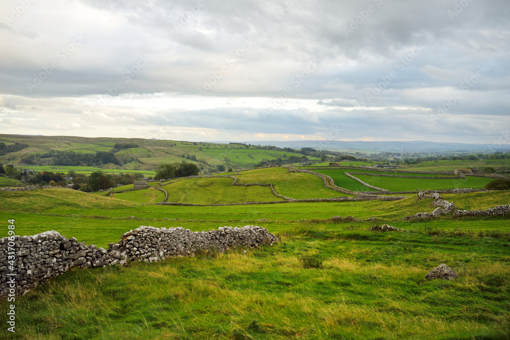 Limestone fences and endless green lush pastures in Yorkshire Dales National Park in northern England