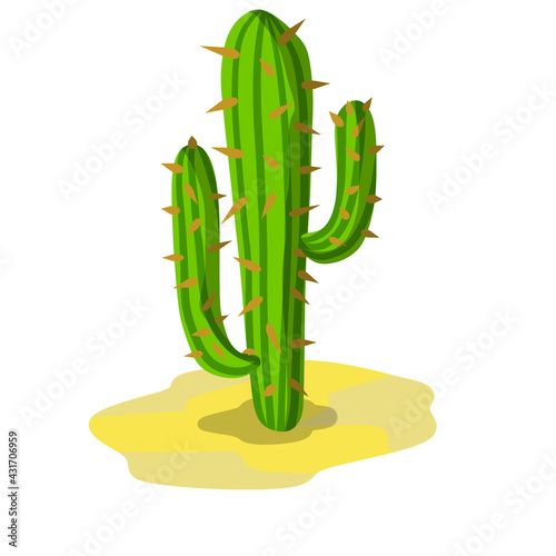 Cactus in the desert. Big Mexican plant. Green succulent. Element of the southern tropical summer landscape. Flat cartoon illustration