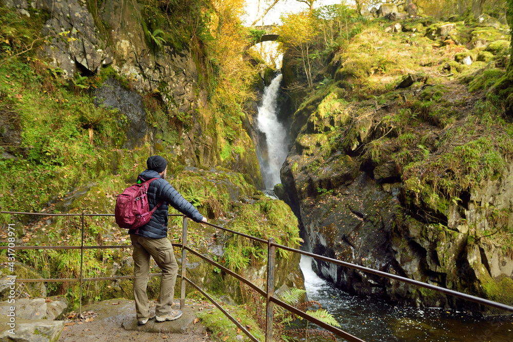 Male tourist enjoying famous Aira Force waterfall on Aira Beck stream, located in the Lake District, Cumbria, UK.
