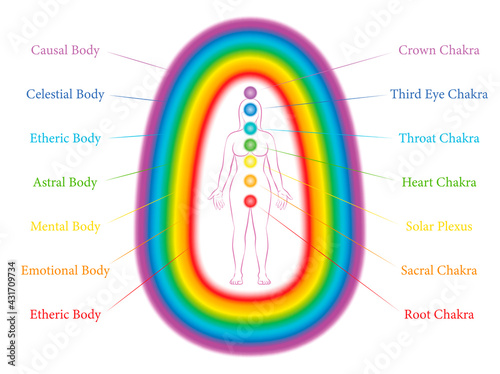 Billede på lærred Seven main chakras and corresponding aura layers of a standing woman