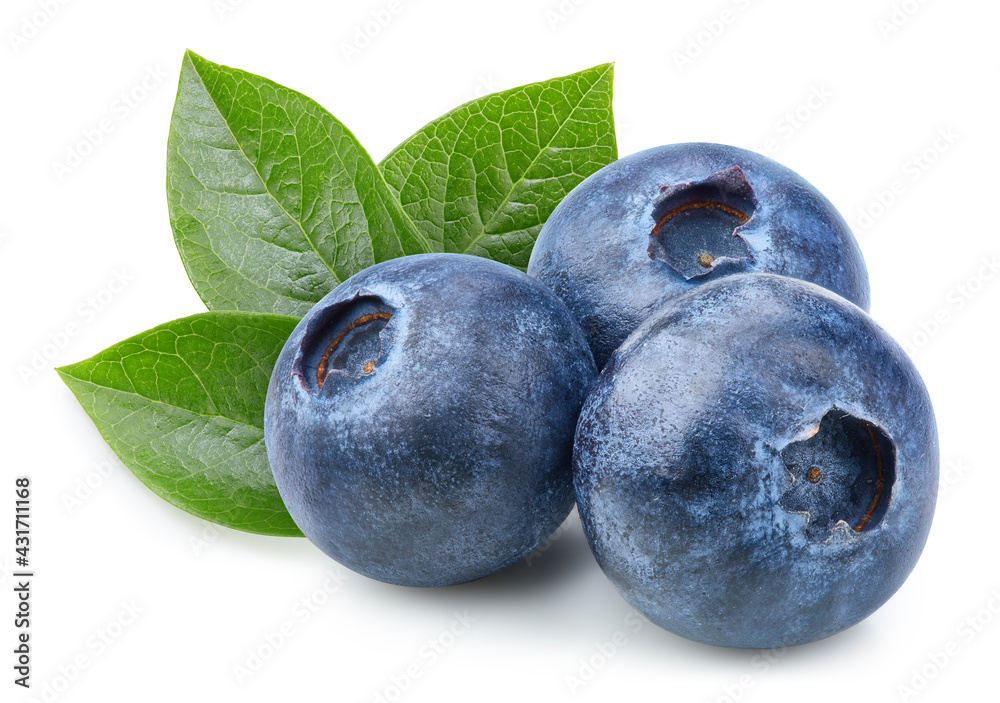 Obraz premium Blueberry isolated on white background