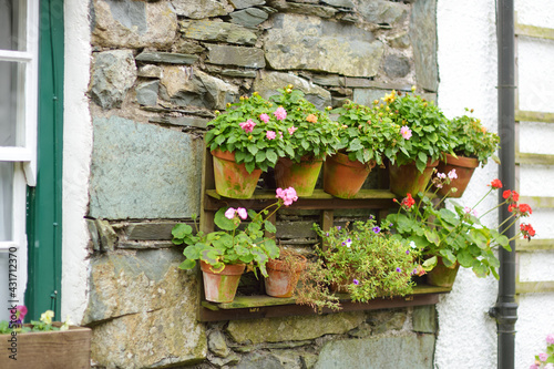 Houses of Stonethwaite village, beautifully decorated with flowers and greenery. Small village situated in the valley of the Stonethwaite Beck, Cumbria, UK. photo