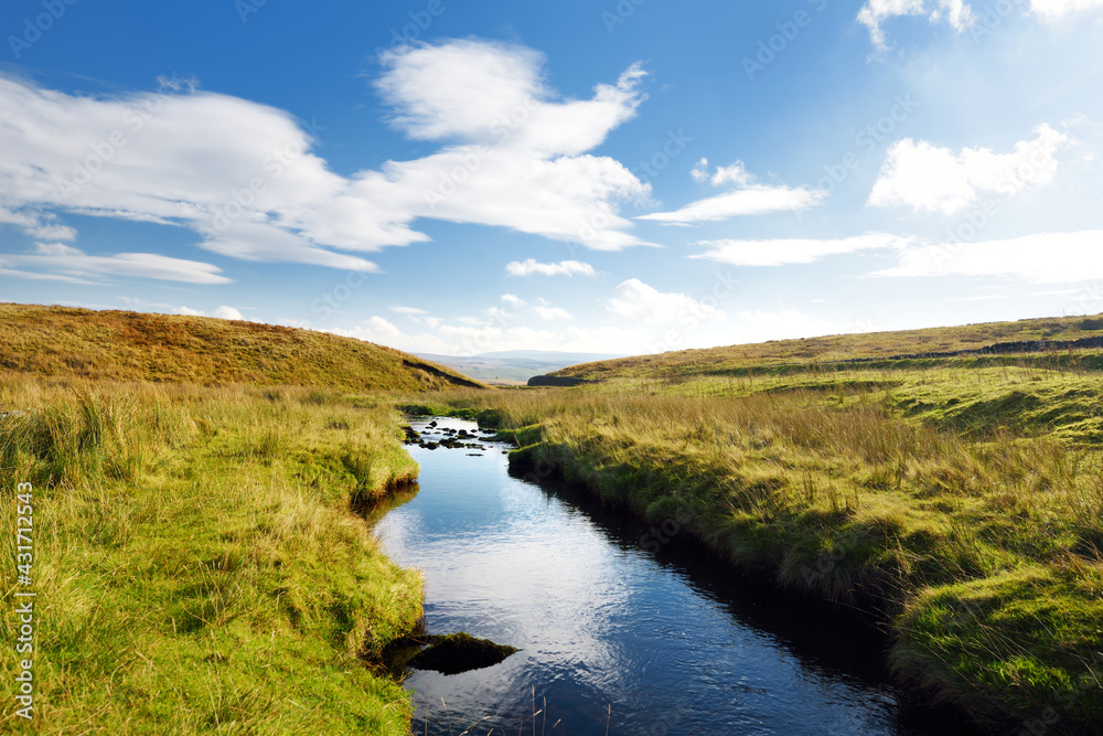 Small stream flowing between lush pastures in Yorkshire Dales National Park in northern England, UK.