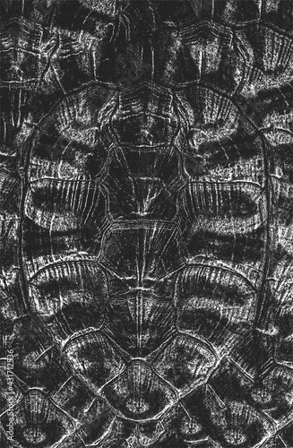 Distress turtle, tortoise skin shell grunge texture. EPS 8 vector illustration. Black and white background.