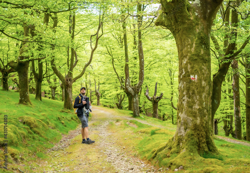 A young father with a yellow backpack walking with the newborn child in the backpack on a path in the forest heading to the picnic with the family