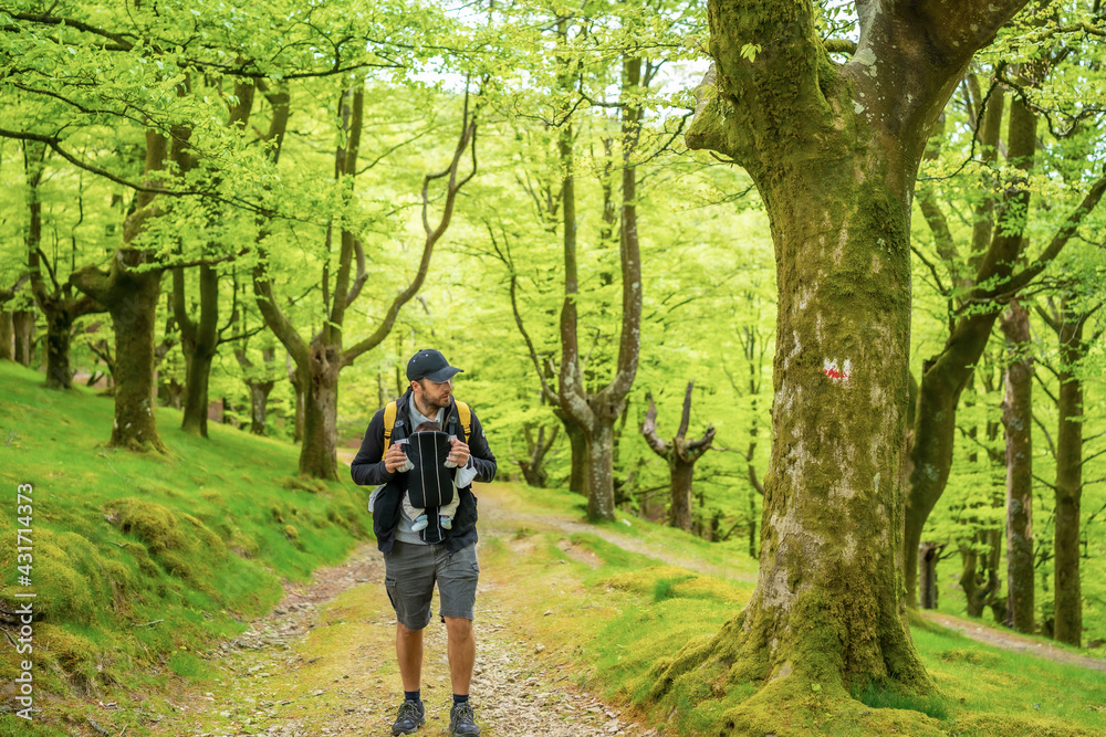 A young father with a yellow backpack walking with the newborn child in the backpack on a path in the forest heading to the picnic with the family A young father with a yellow backpack walking with the newborn child in the backpack on a path in the forest heading to the picnic with the family