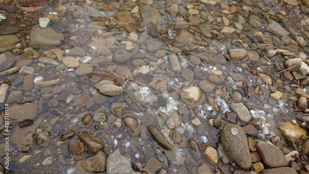 brown stones in a mountain river under water