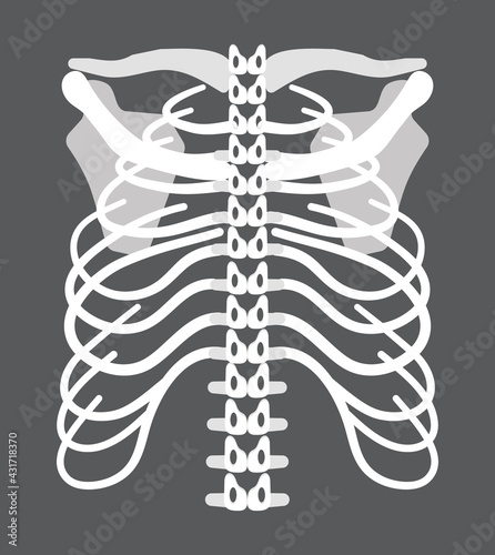 Skeleton icon of radiography and x-ray concept vector for landing page. Trauma, pain, osteoporosis