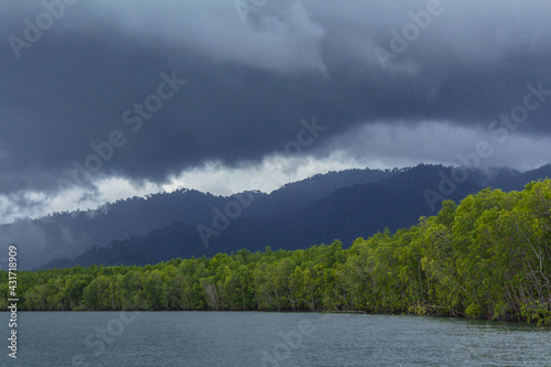 Mangrove forests before a rainstorm